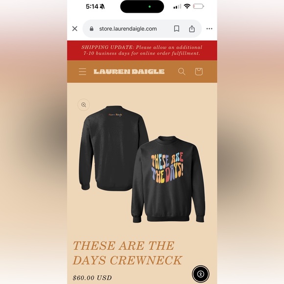 “THESE ARE THE DAYS CREWNECK” Lauren Daigle with original merch bag included - Picture 4 of 4